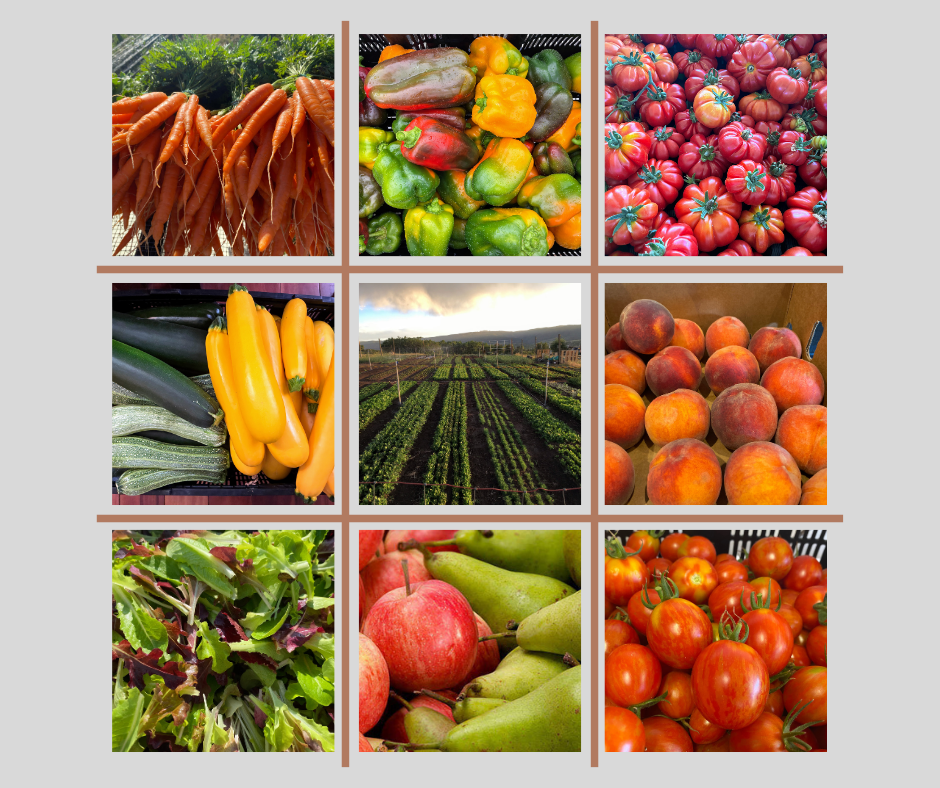 Sandys Way Microfarm