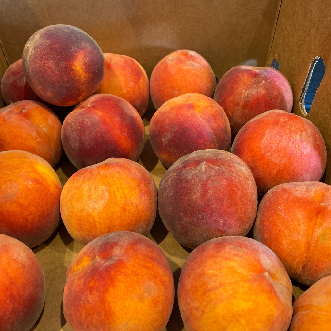 Fresh Colorado Fruit from C&R Farms Palisade | Sandys Way Microfarm