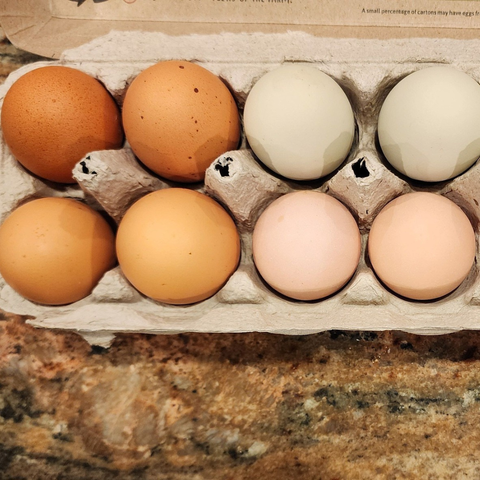 Free Range Eggs Fowl Eggz, Slice of Heaven Ranch (Castle Rock)