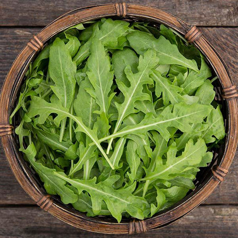 Arugula