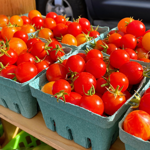 Sweet cherry tomatoes bursting with flavor, locally grown at Sandys Way Microfarm