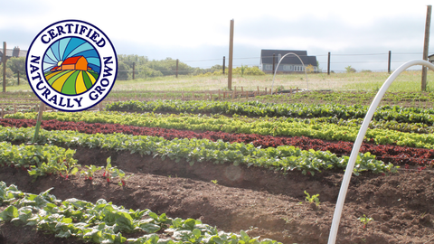 Late Winter Farm Tours