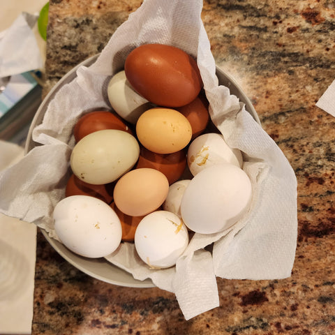 Free Range Eggs
