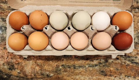 Pasture-Raised Eggs