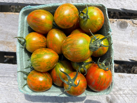 Striped Cocktail Tomatoes — Sun-Ripened, 12 oz (Certified Naturally Grown)
