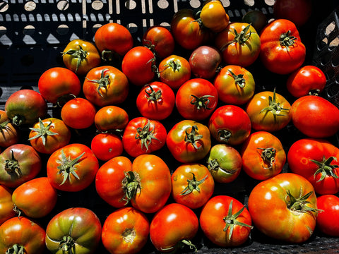 Heirloom & Open-Pollinated Slicer Tomatoes — Mixed Varieties (Certified Naturally Grown)