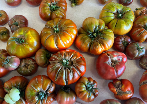 Beautiful Ugly Tomatoes — Heirloom Slicers, Imperfect (Certified Naturally Grown)