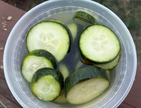 Farm Garlic Pickles — Cold Pack, Thick Cut (Sandy's Way Microfarm)