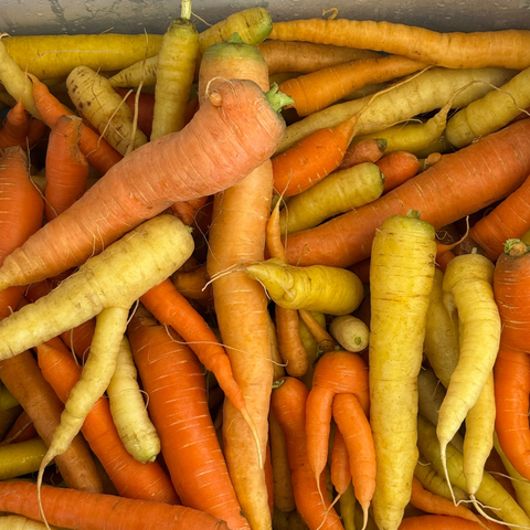 Organic juicer carrots, imperfectly perfect, from Sandys Way Microfarm
