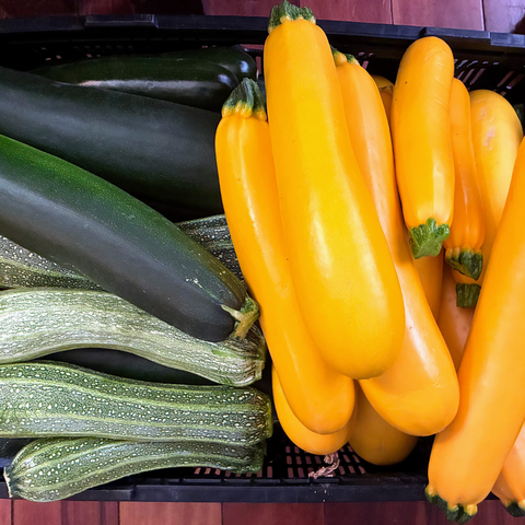 Mixed zucchini varieties - yellow, green, and striped, from Sandys Way Microfarm
