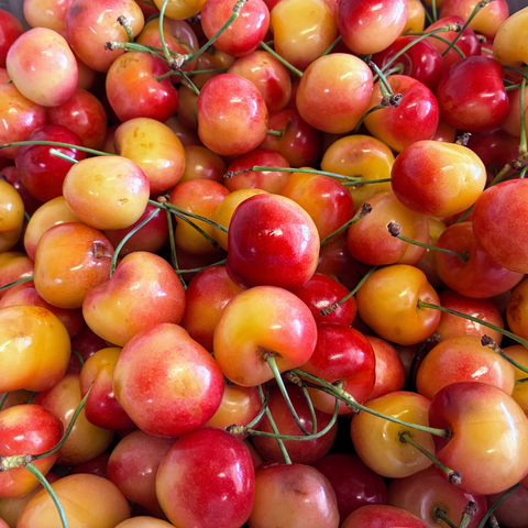 Rainier Cherries