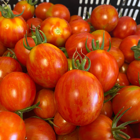 Cocktail Tomatoes