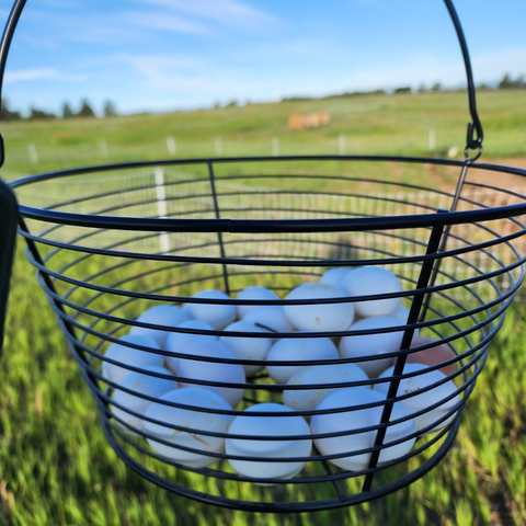 Free Range Eggs Fowl Eggz, Slice of Heaven Ranch (Castle Rock)