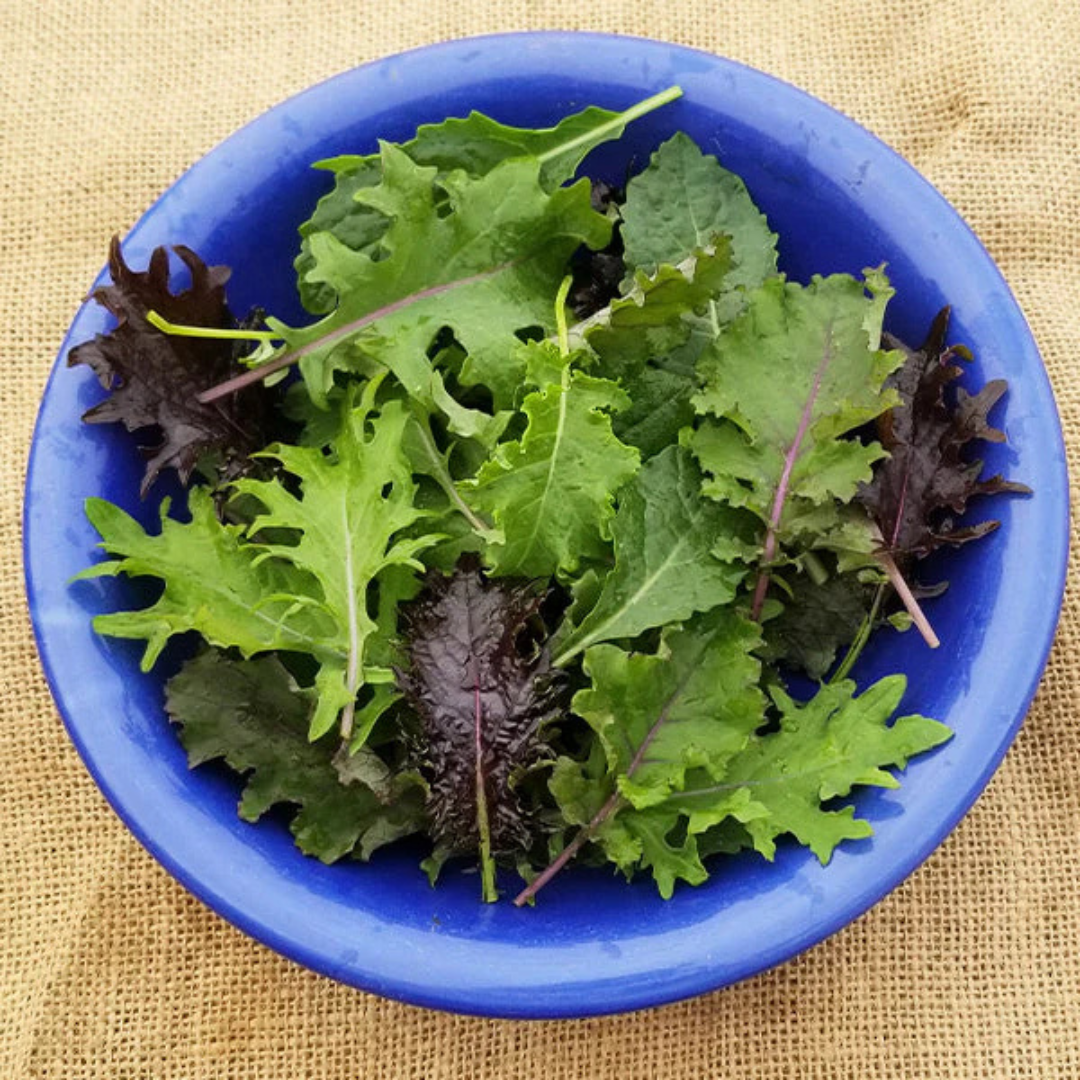Sweet Baby Kale Mix - Fresh Local Greens | Sandy's Way Microfarm ...