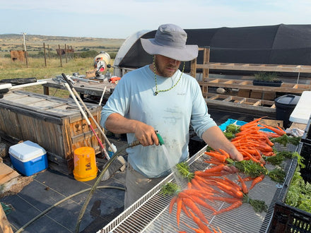 Cale and Jason at Sandy's Way Microfarm, Sedalia CO