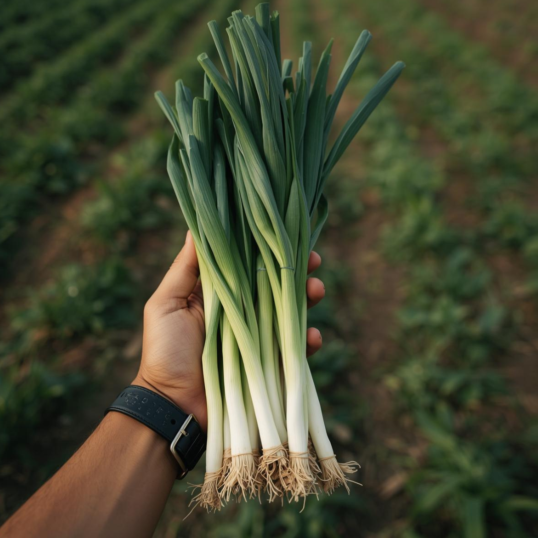 White Scallions - Fresh & Locally Grown – Sandys Way Microfarm