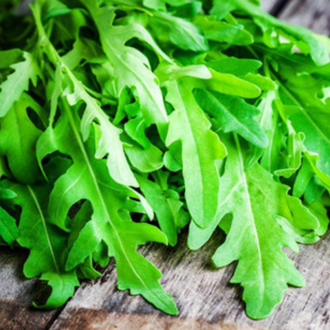 Fresh green arugula leaves on a wooden surface
